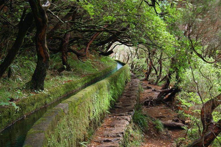 Cantinho Da Te Camara de Lobos Bagian luar foto